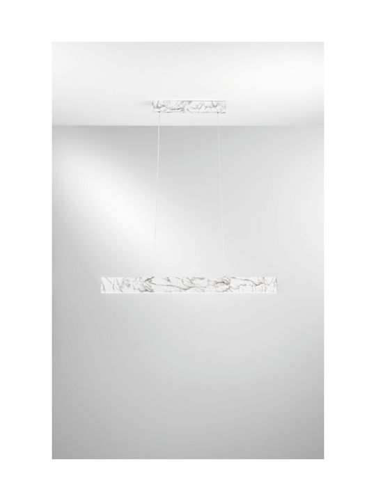 Fan Europe Pendant Light LED with Warm to Cool White Light