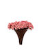 Dried Plant Pink 1pcs