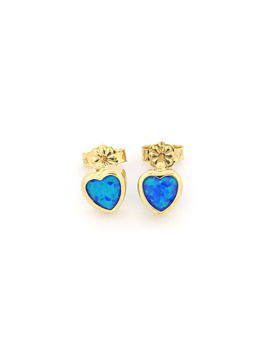Earrings made of Gold 9K with Stones