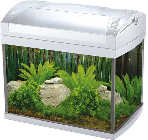 Boyu Fish Aquarium Capacity 20lt with Circulator and 54x32x35cm Black