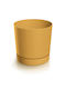 Prosperplast Пластмасов Пот Жълт 19.9x19.9x19.6см