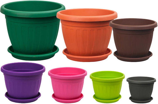Viosarp Mediteran Ghiveci Plastic