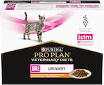 Purina Proplan Veterinary Diets Ur St Ox Wet Food for Adult Cat in Pouch with Chicken Diet 85gr