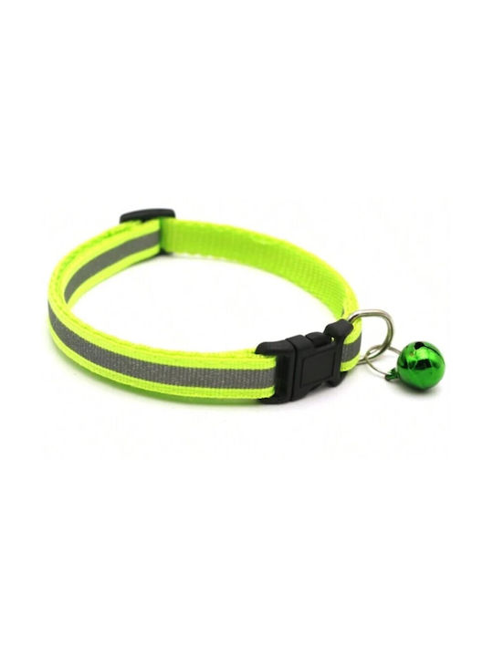 Dog Collar in Green color