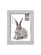 ZEP Doneck Plastic Photo Frame with Gray Frame