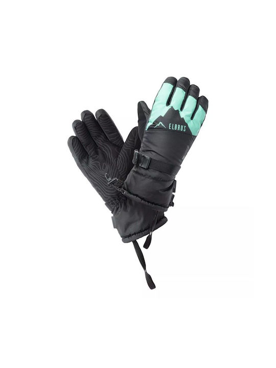 Elbrus Men's Mănuși de schi și snowboard Black