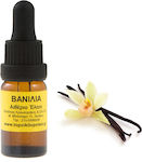 Vanilla Essential Oil 10ml