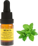 Peppermint Essential Oil 10ml