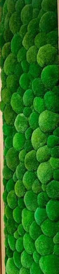 Panouri Decorative 3D Verde 100x80cm 322/80/1
