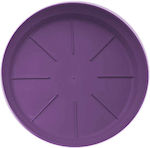 Micplast PN71 Round Plate Pot ''''''