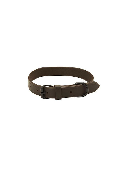 Dog Collar Leather