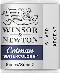 Winsor & Newton Cotman Watercolours Gray