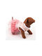Woofmoda Dog Dress