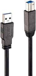 Lindy USB 3.1 Cable USB-A male - USB-B male Μαύρο 10m 43098