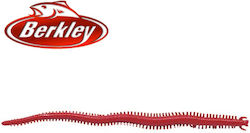 Berkley Τεχνητό Δόλωμα 5εκ. Blister Σετ 24τμχ Berkley Τεχνητό Δόλωμα 5εκ. Blister Σετ 24τμχ