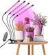 Desk Grow Light with LED