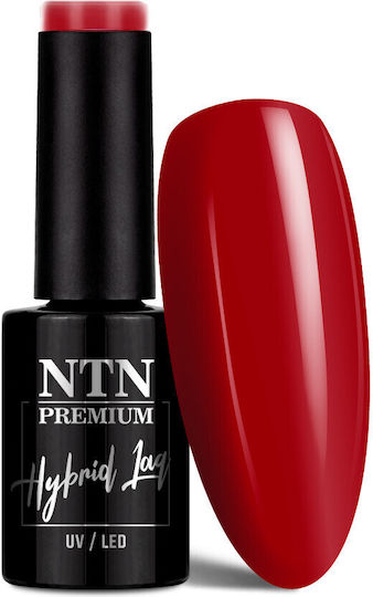 NTN Premium Semipermanent Lac de Unghii 268 5ml 1buc