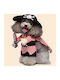 Pirate Full Body Dog Clothing 16x32x24cm