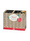 Moses Lighted Christmas Garland 1pc