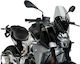 Puig Φιμέ Ζελατίνα Μοτοσυκλέτας για BMW F900R 20359H
