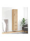 Office Cabinet Wooden Sonoma Oak 34.5x34x180cm
