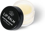 Eolia Cosmetics Lip Balm Με Βαλσαμέλαιο, Κερί Μέλισσας, Πρόπολη Και Μέλι