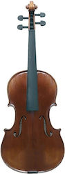 Gewa Maestro 6 4/4