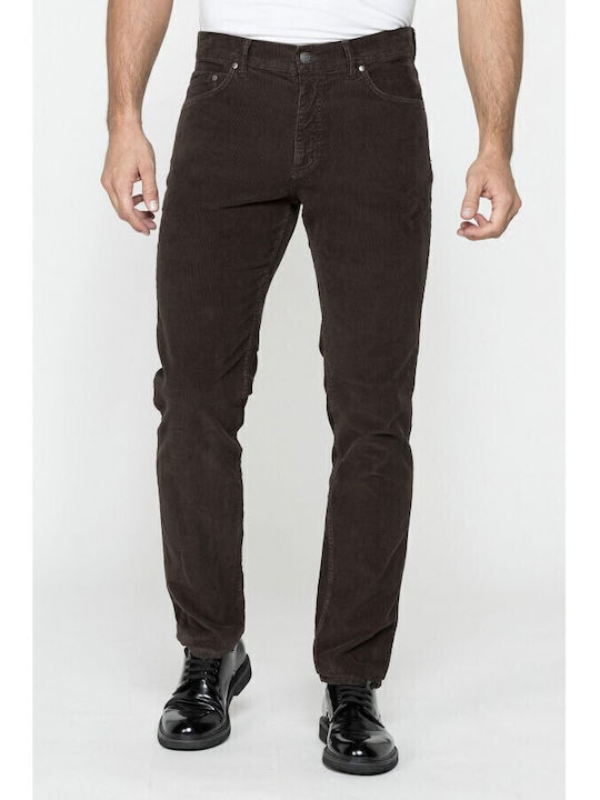 Carrera Trousers Elastic in Regular Fit Brown