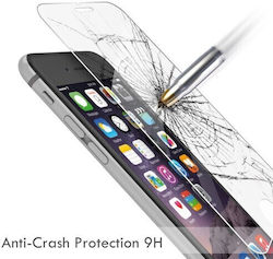 Tempered Glass (Galaxy M33) Tempered Glass (Galaxy M33)
