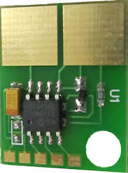 Ibm S2500 1222 53p7707 Chip for Dell (CHIP_7707)