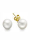 Paraxenies Earrings made of Silver Gold Plated with Pearls