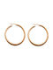 Earrings Hoops