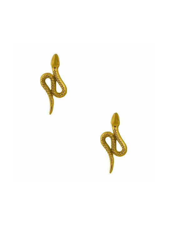 Earrings Gold Plated