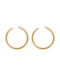 Earrings Hoops made of Silver Gold Plated