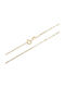 Gold Chain Neck 14K