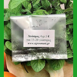 Seeds Spearmint 1gr