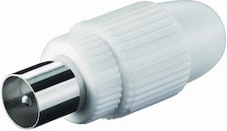 Coaxial Plug