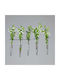 Serax Hanging Transparent Glass Wall Decor 39x21cm