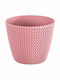 Pot Pink 16x16x13cm