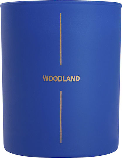 Celestino Aromatic Wood Jar Candle