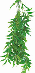 Happet Terrarium Ficus Longifolia 50см Живо Аквариумно Растение 0F19