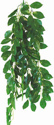 Happet Terrarium Ficus 70см Живо Аквариумно Растение 0F21
