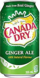 Ginger Ale Ginger Beer με Ανθρακικό 355ml Ginger Ale Ginger Beer με Ανθρακικό 355ml