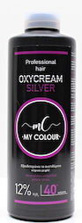 My Colour Ενεργοποιητής Χρώματος 40Vol 500ml