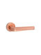 Convex Lever Front Door with Rosette Pair Copper