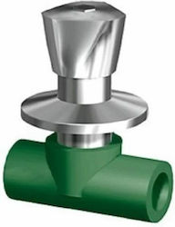 Interplast Valve / Switch Straight