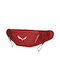 Salewa Waist Bag Red