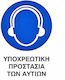 Mandatory Sign Head/Eye Protection 0.096-PVCB3