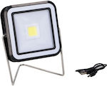 Solar Light 110lm