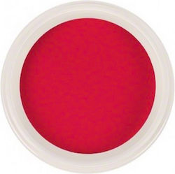 Trendy Color Cosmetics Σκόνη Ακρυλικού 10гр 3090